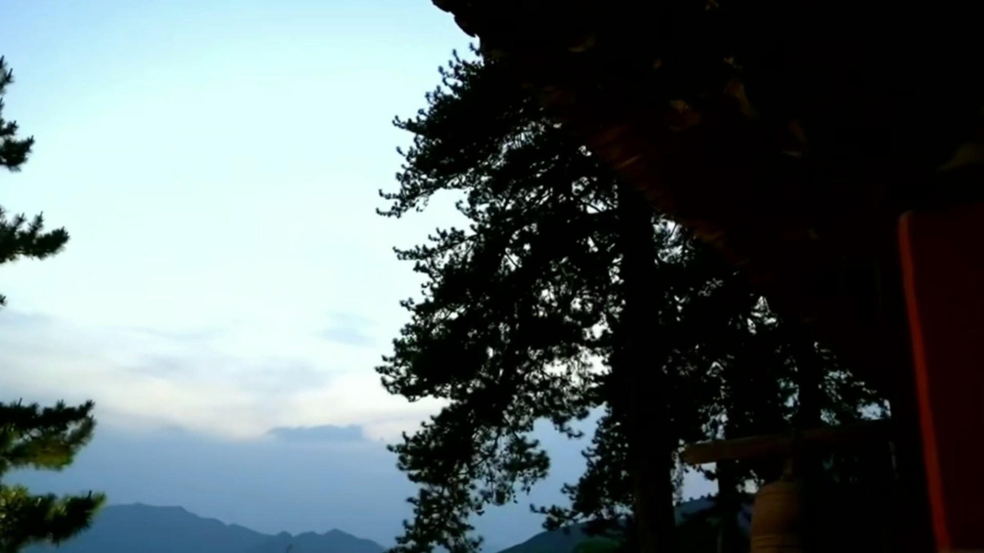 松林暮色中的佛光寺